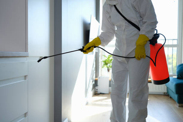 Best Mold Odor Removal Services  in Carrollton, MO